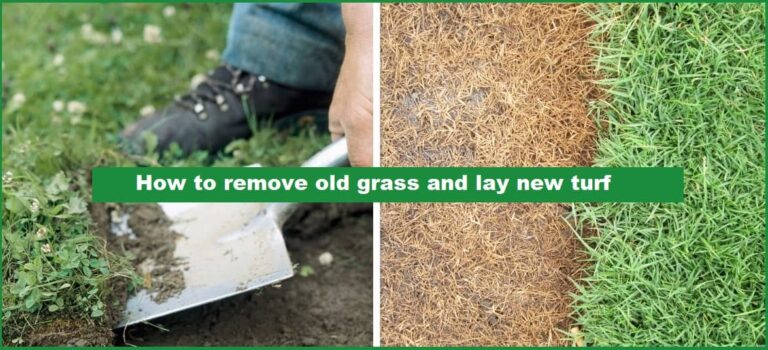 How to remove old grass and lay new turf