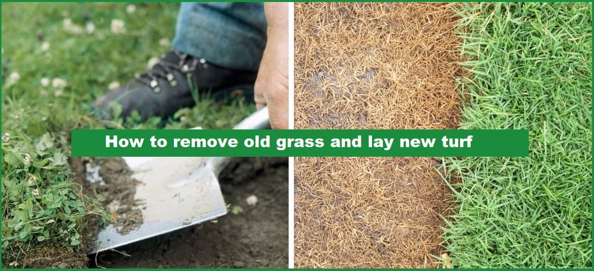 How to remove old grass and lay new turf in few easy steps - Lawn Gardeners