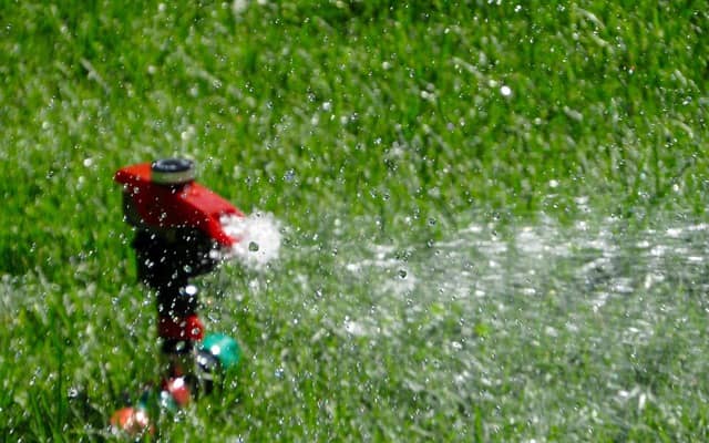 Watering a lawn