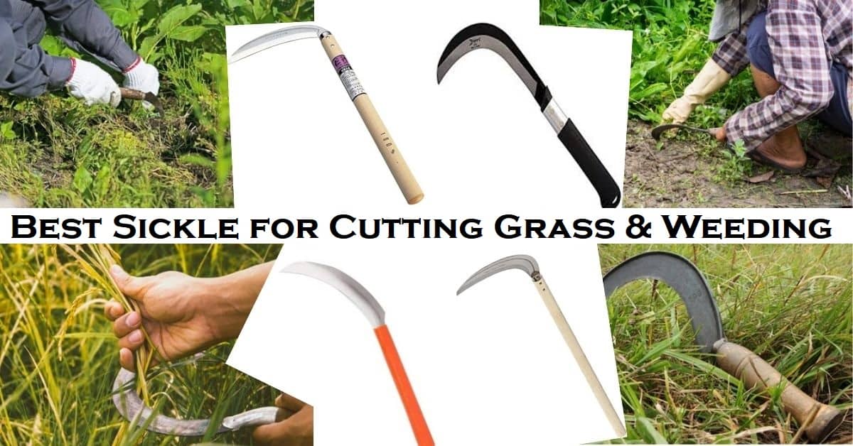 5 Best Sickle for Cutting Grass & Weeding in Tough Areas - Lawn Gardeners