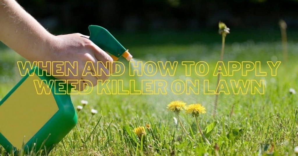 Best Time To Put Weed Killer