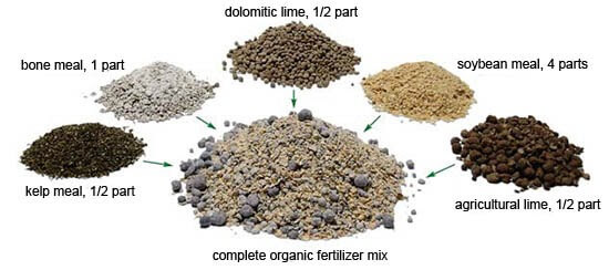 Organic fertilizer