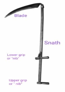 How to use a scythe to cut weeds and grass