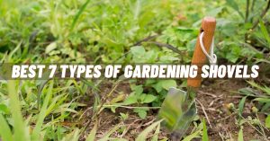 Best 7 Types of Gardening Shovels