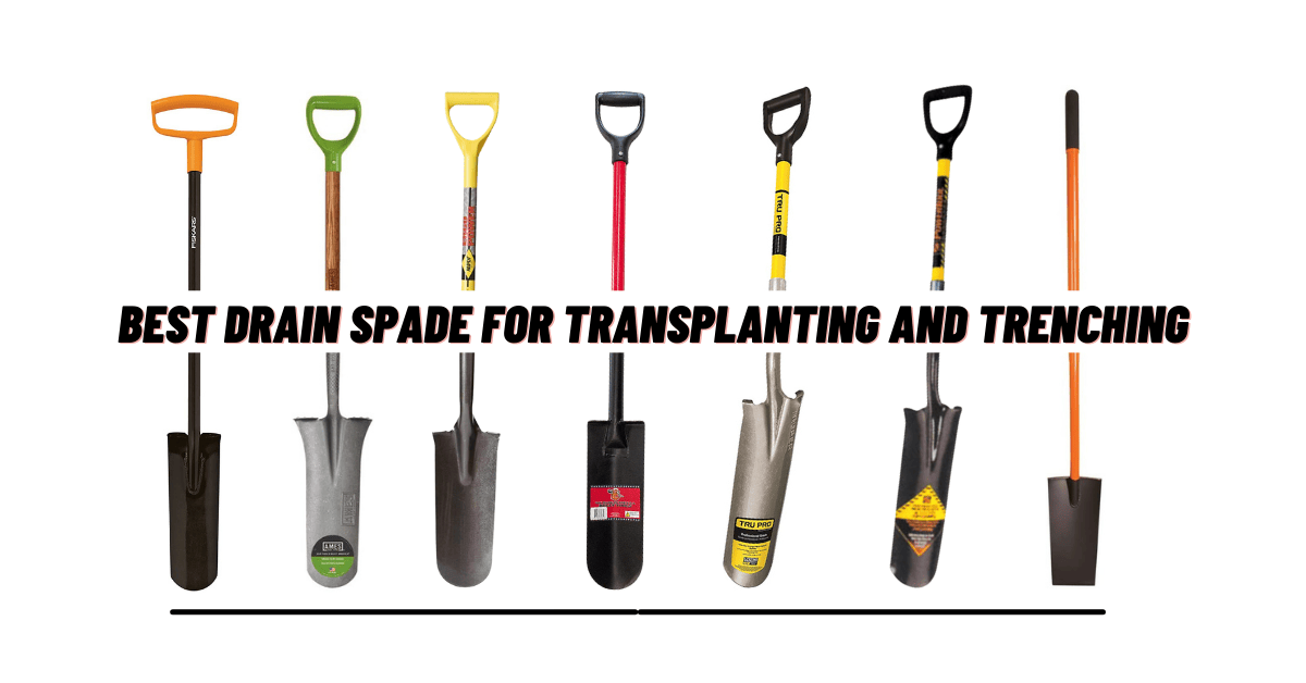 best drain spade for transplanting and trenching