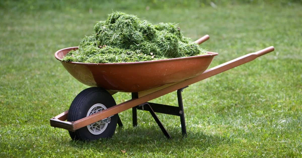 How to get rid of grass clippings