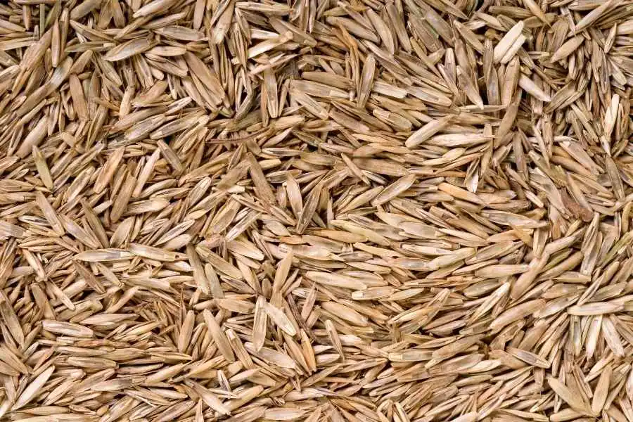 grass seed storage