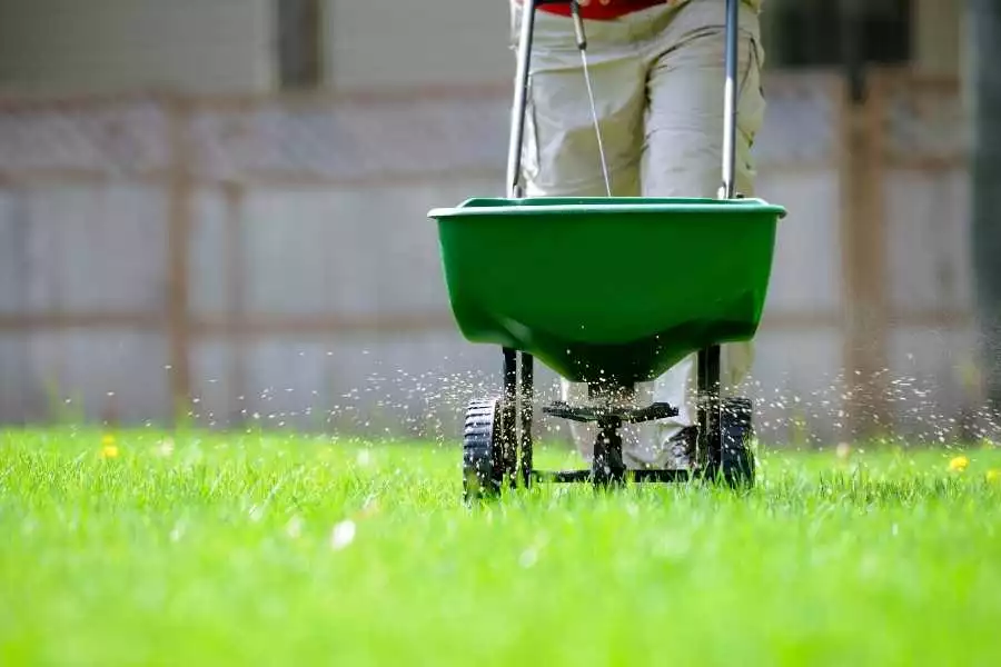 lawn fertilizing