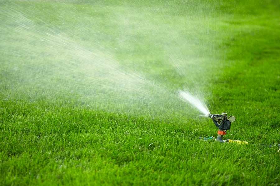 how to water lawn