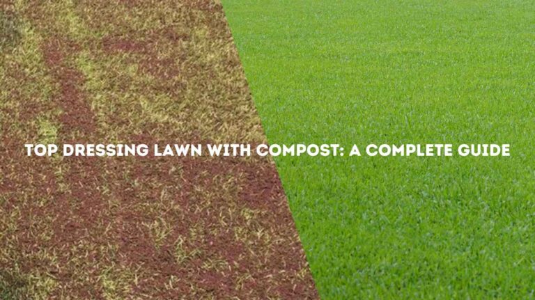 Top Dressing Lawn With Compost