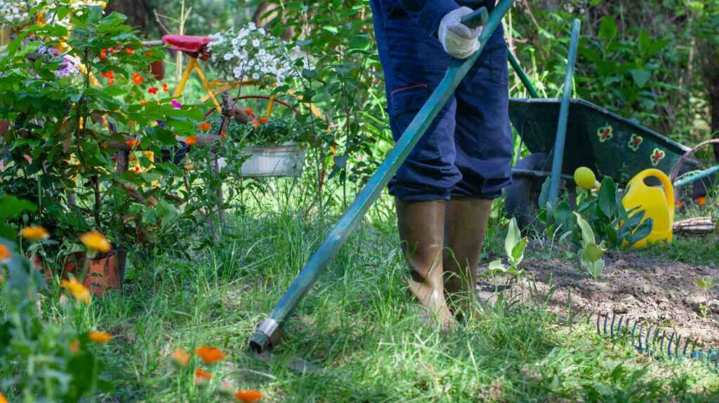 cut weeds in garden