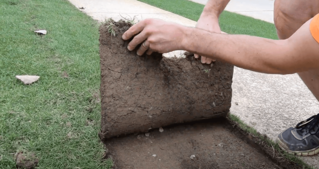 Step 6. Remove cut sod
