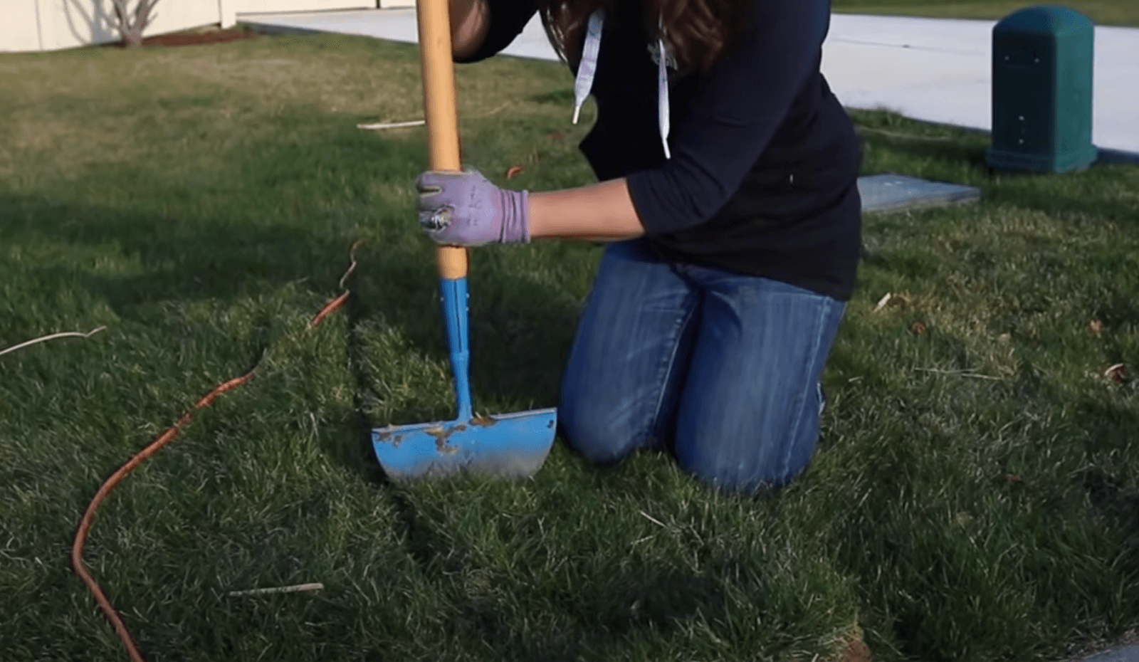 Step 7 - Manually Remove Turf From Flagged Off Aeras